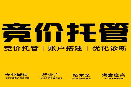 某企业通过SEO和SEM双管齐下实现业绩飞跃的案例